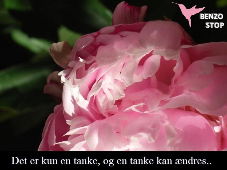 Positive bekræftelser