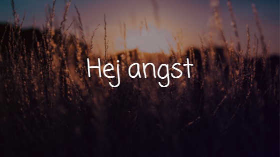 Hvad bruger jeg for min angst