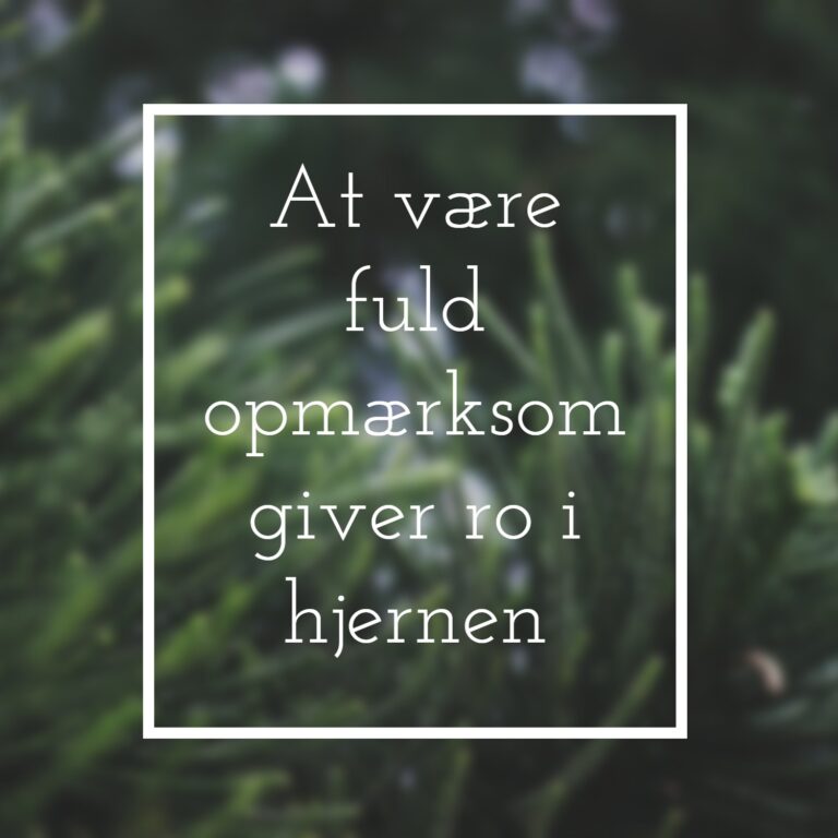 Meditation & Mindfulness